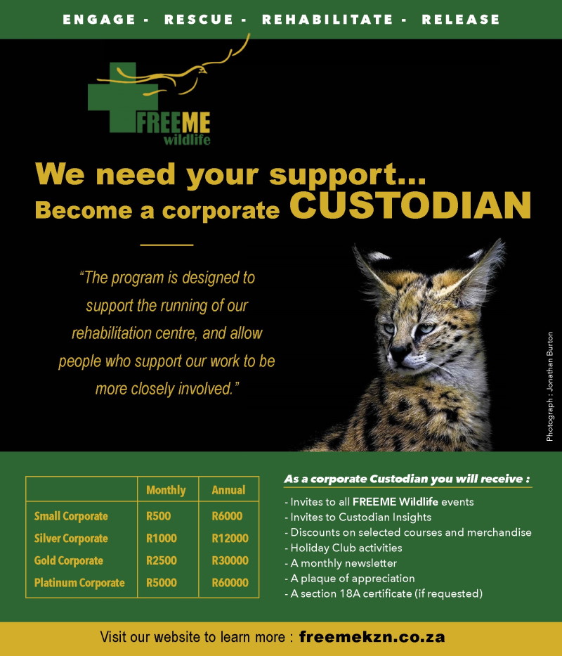 free me custodian individual