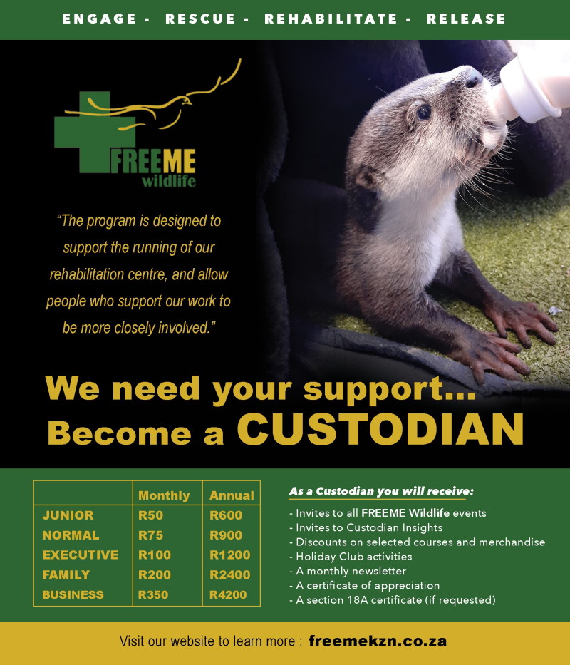 free me custodian individual copy
