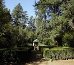 Benvie gardens