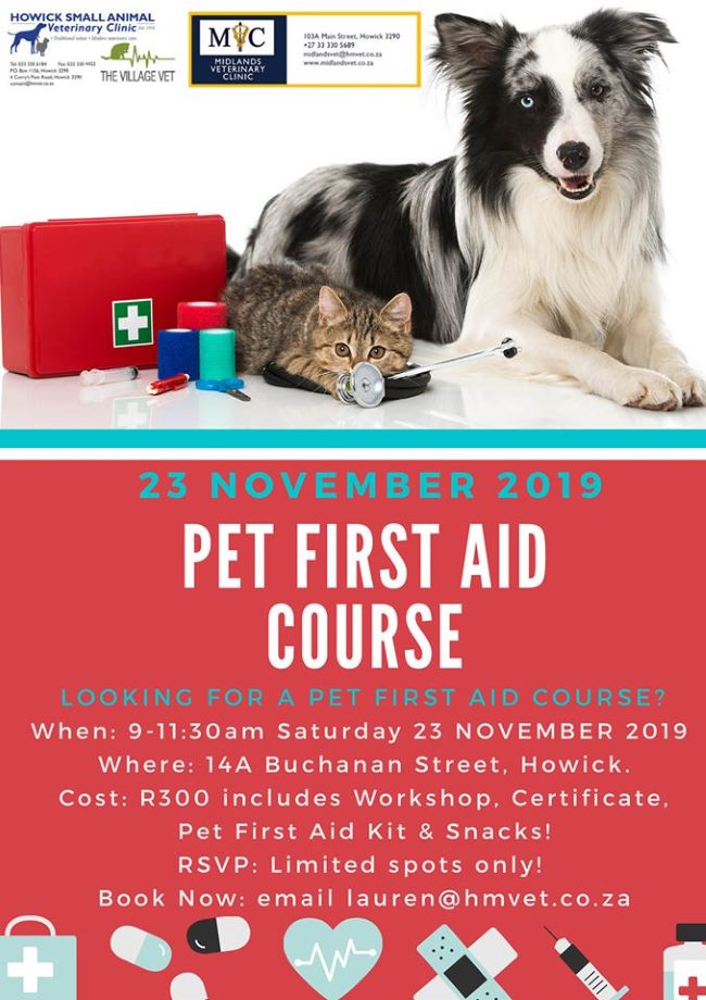 Pet First Aid Course 002