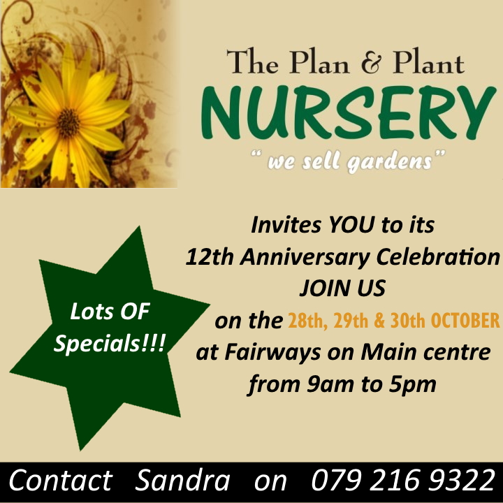 12 anniversary plan and plant