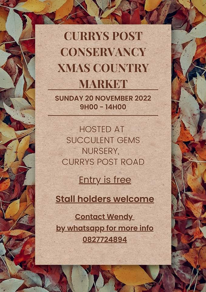 20 Nov Night Market