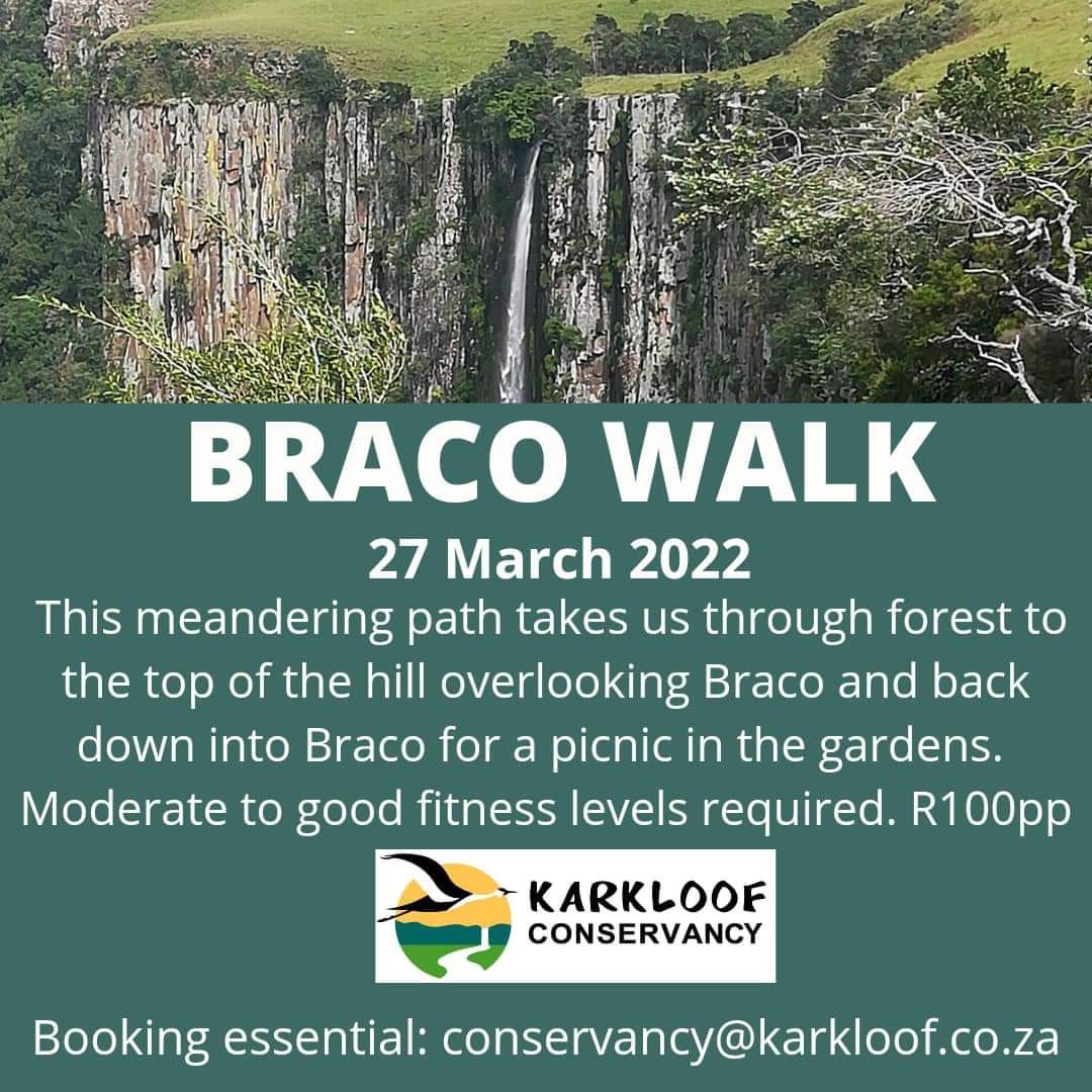 braco walk march 2022