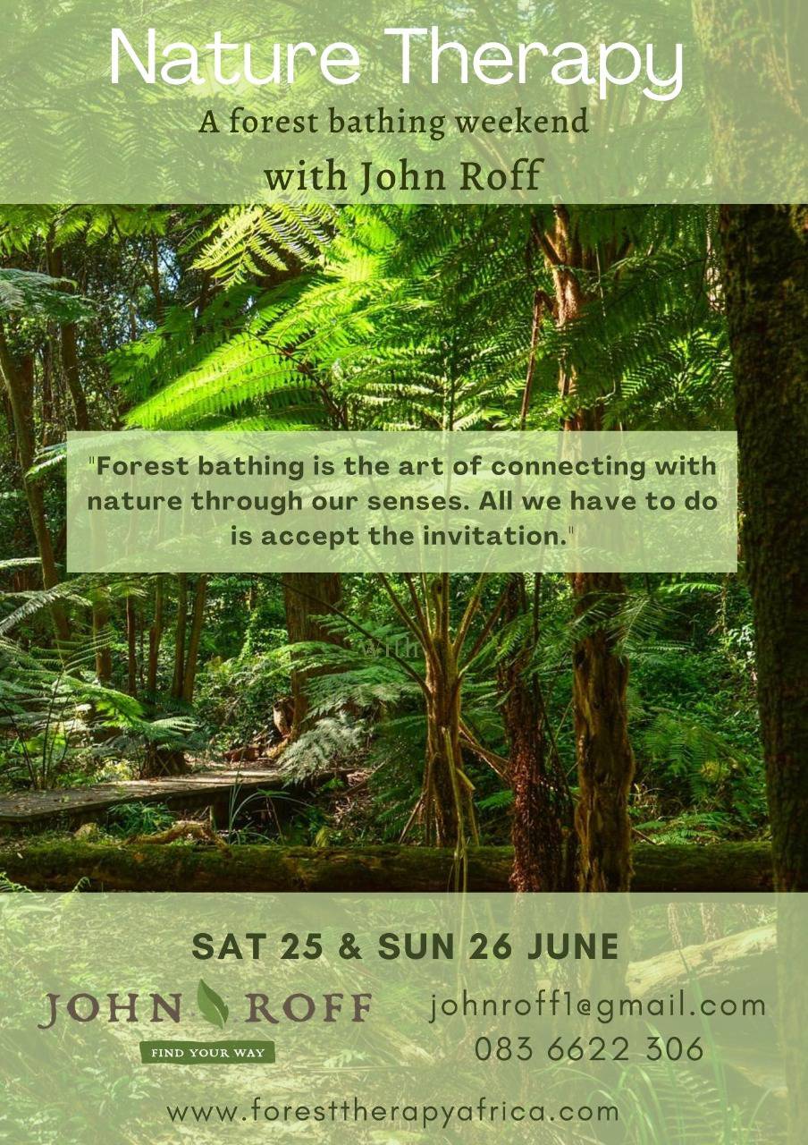 john roff forest bathing