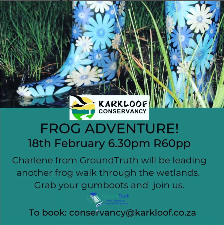 karkloof conservancy frog adventure
