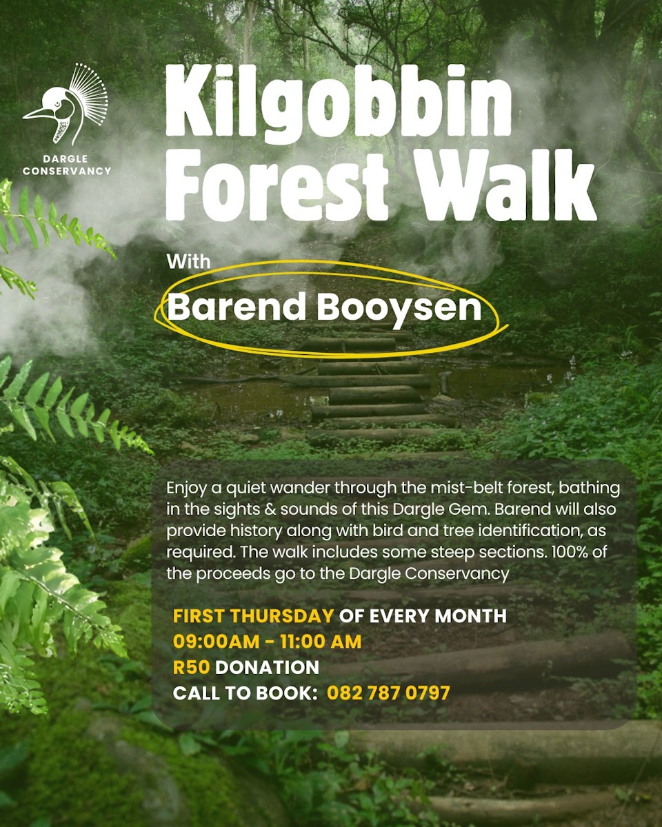 kilgobbin forest walk