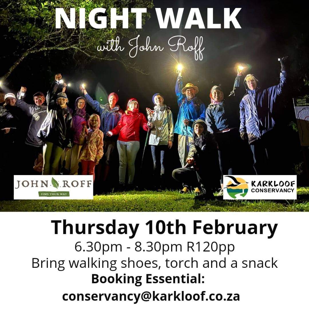 night walk