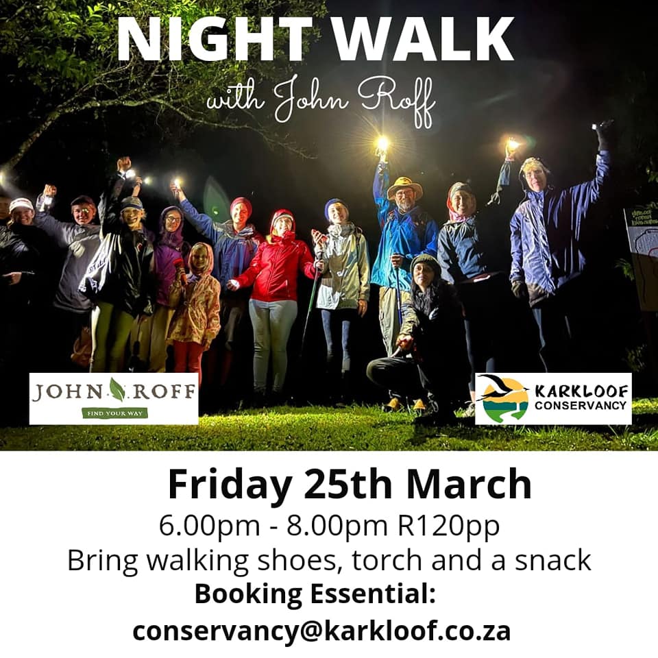 night walk 25 march