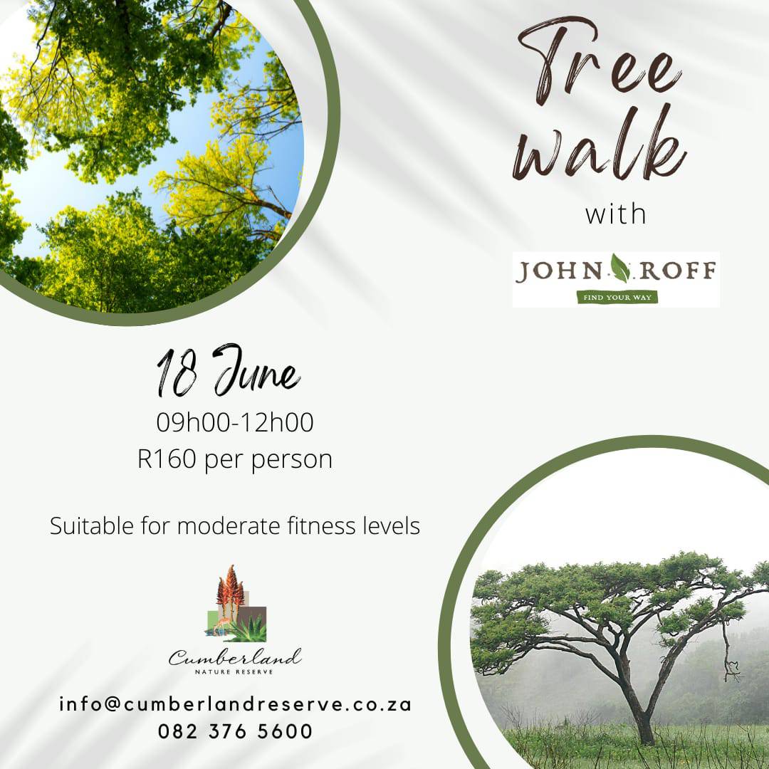 tree walk at cumberland