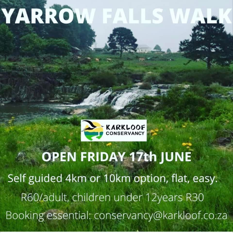 yarrow falls walk friday 17 june