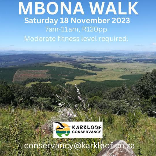 18 nov mbona walk