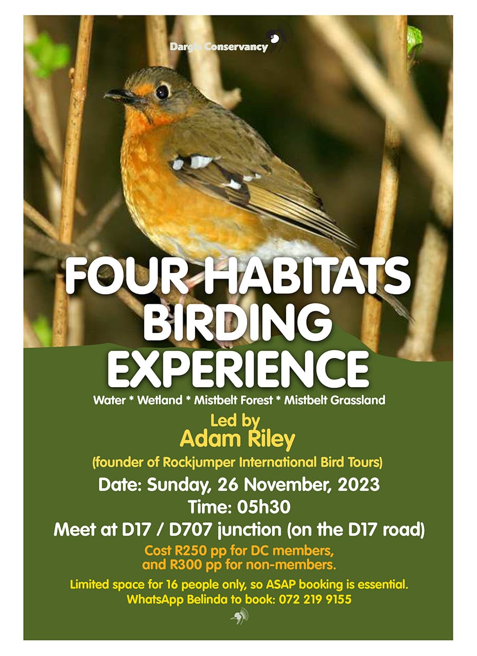 26 nov birding event