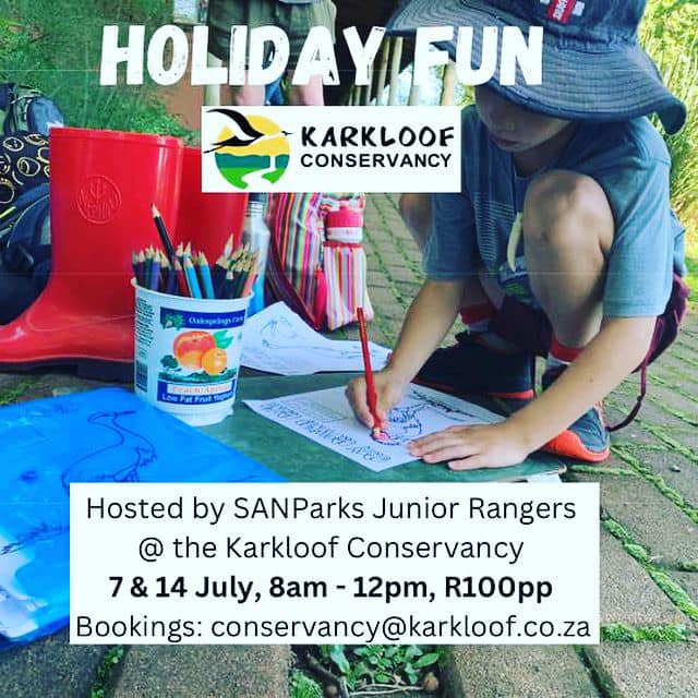 7 14 july howick