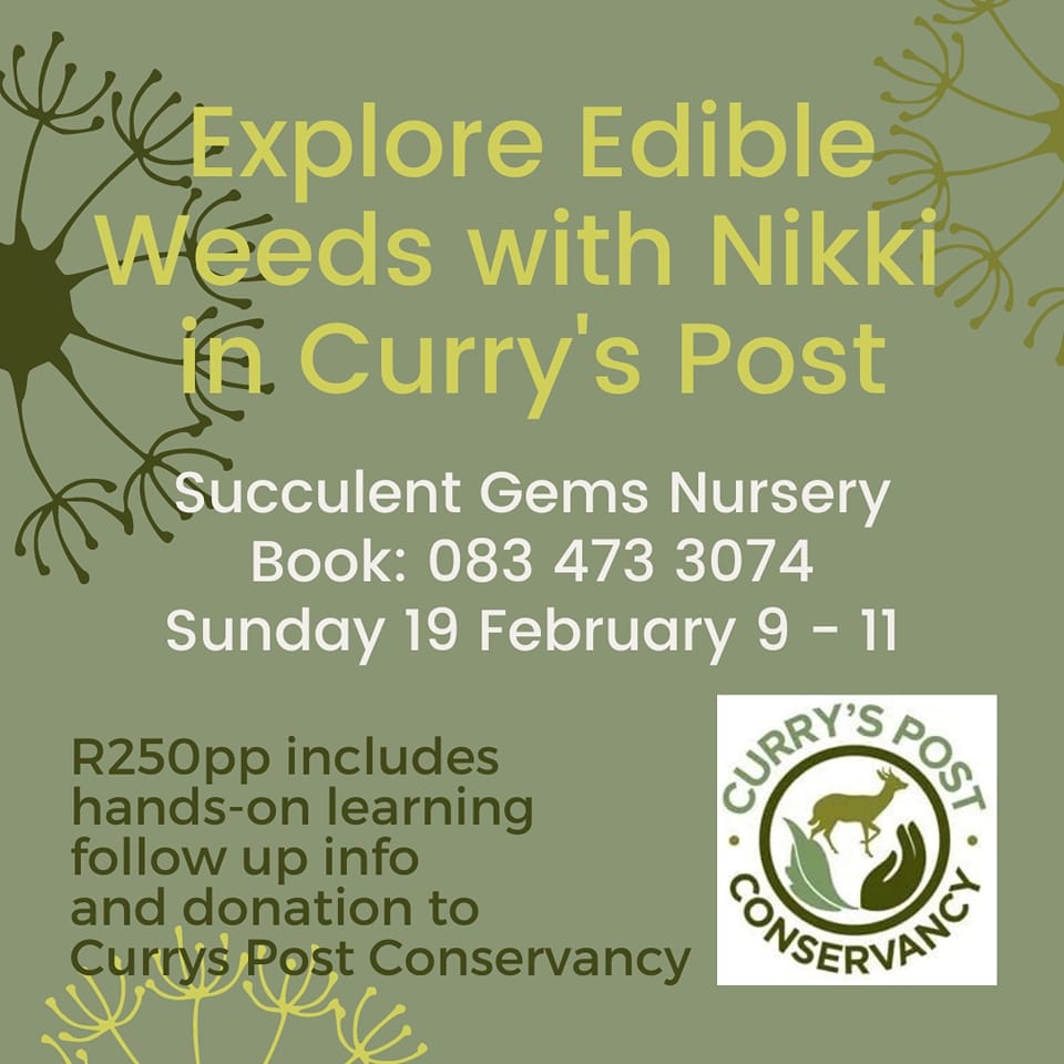 explore edible weeds
