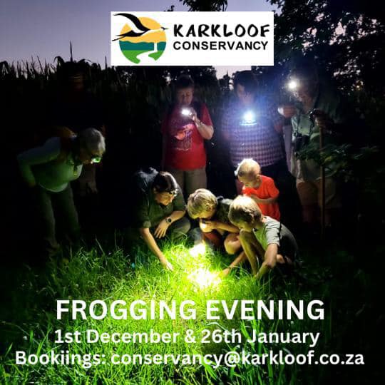 frogging 1 Dec 26 Jan KARKLOOF