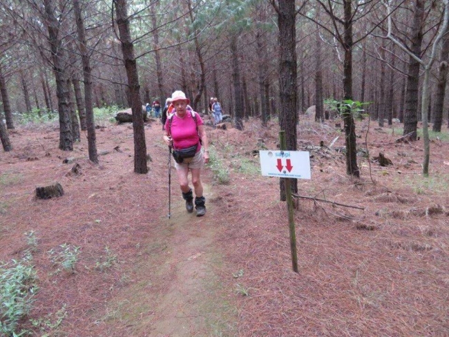 Gnome walk Howick