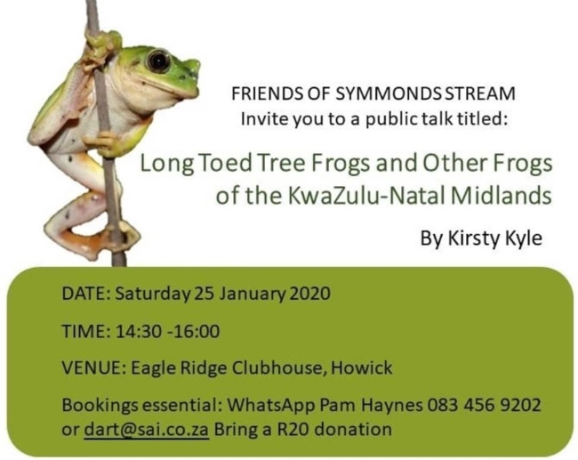 Tree frog