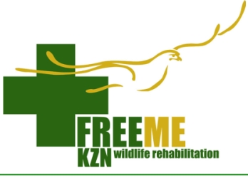 free me cover