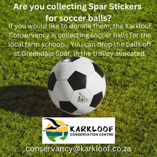 karkloof soccer ball colection