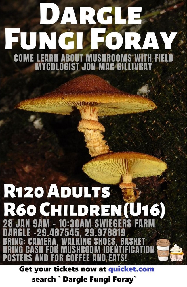 Dargle Fungi Foray