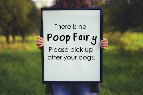no poop fairy