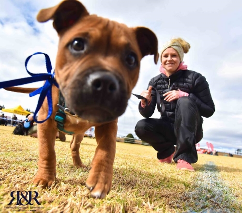 howick spca save the date