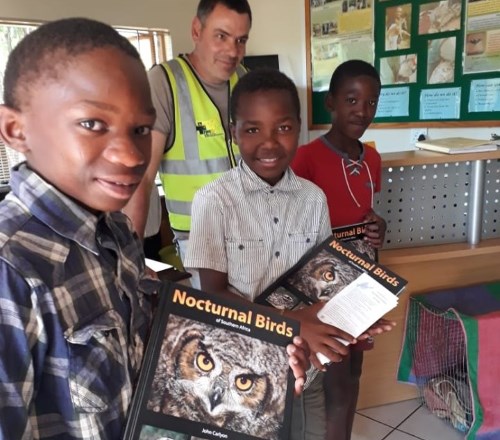 freeme owl news october 2