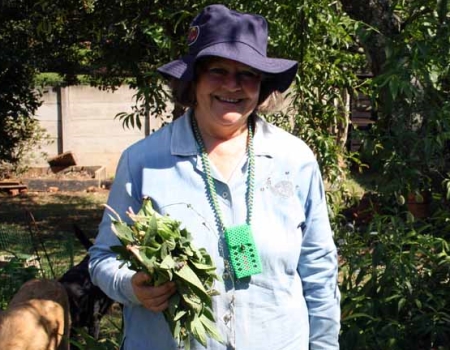 pam haynes