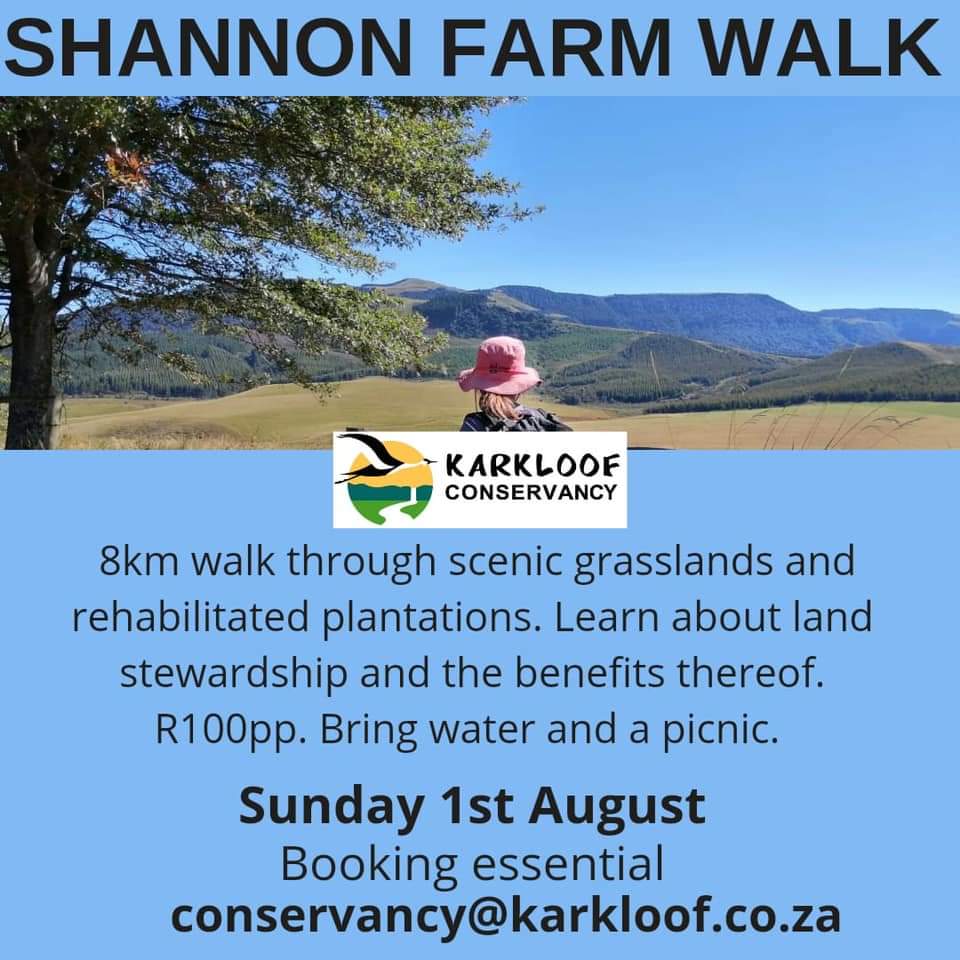 shannon farm walk copy