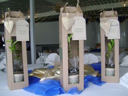 tree gifts