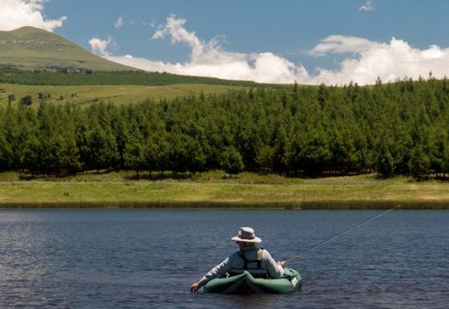 river cleanup howick