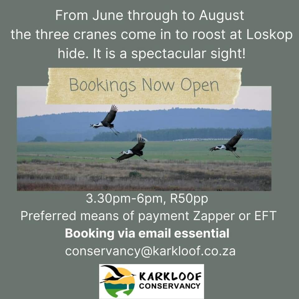karkloof cranes