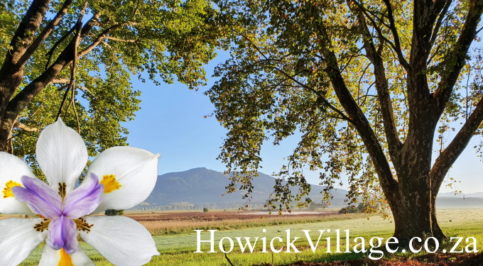 HowickVillage.co.za