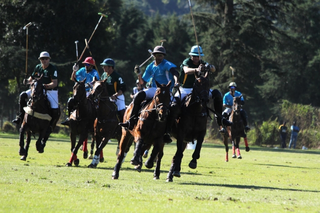polo
