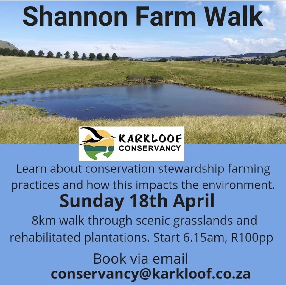 shannon farm walk