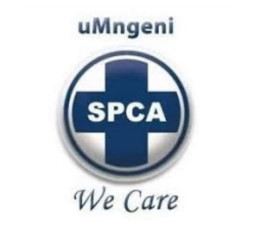 sponsor a kennel cover