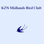 BirdLife KZN Midlands Bird Club